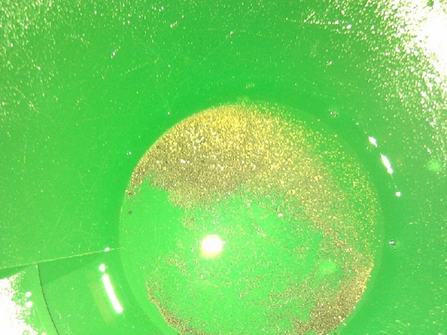 IMG_20150619_153919.jpg