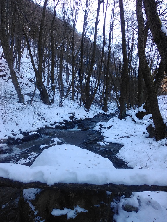 IMG_20161204_114047.jpg