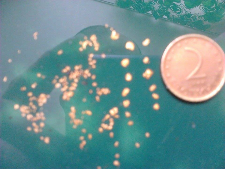 15555083_1408092779210702_230613615_n.jpg