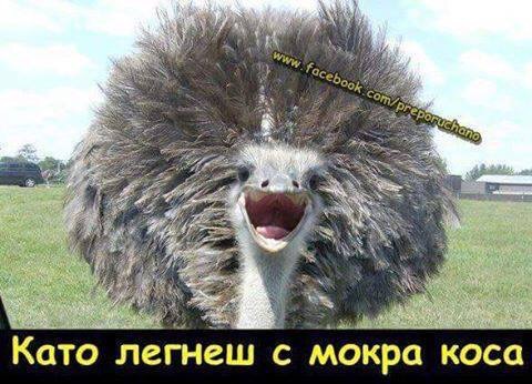 image-0-04-05-30b2950f6ee991895a1aba48919e2c2df4b37bcb31b381ae1dd592c272157bae-V.jpg