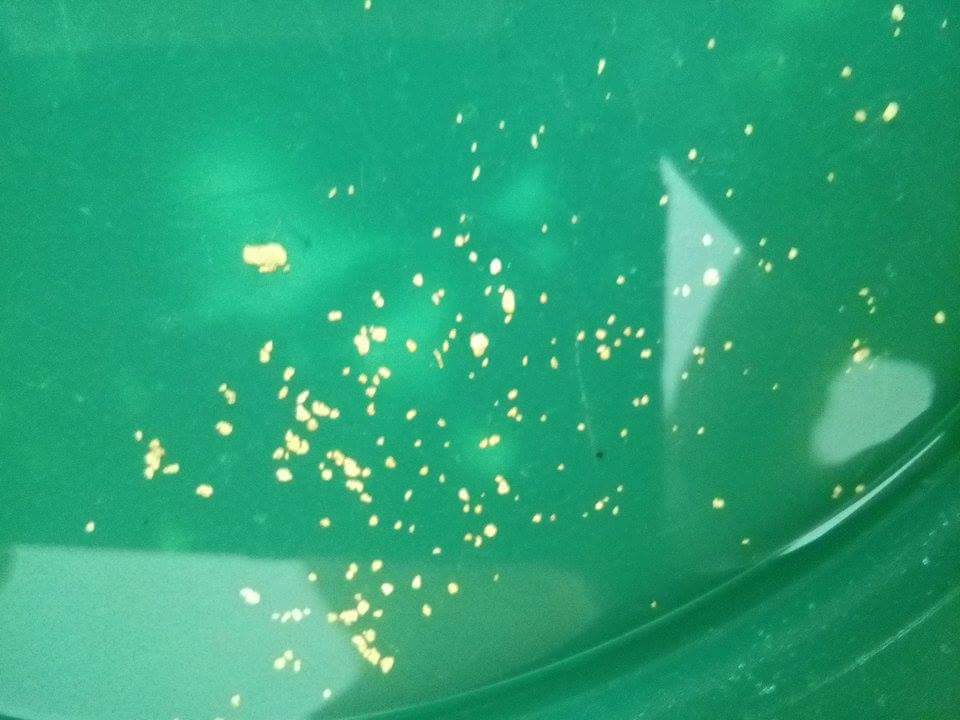 received_1600520189967959.jpeg