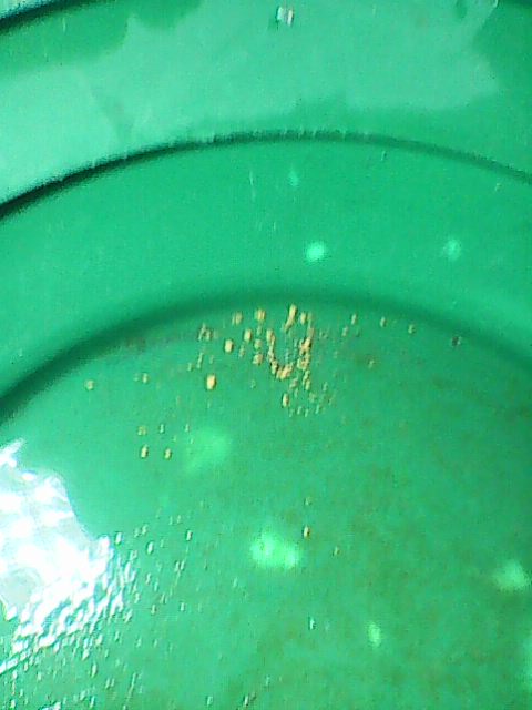 Photo0291.jpg
