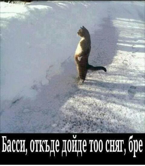SC20180226-141855-1.jpg